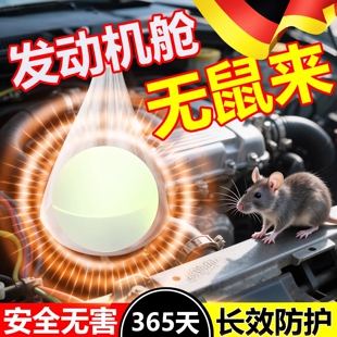 汽车发动机舱强力驱鼠神器2026新款驱赶防大老鼠薄荷油专用樟脑丸