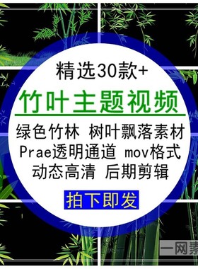 竹叶主题视频素材绿色竹林树叶飘落prae透明通道mov格式剪辑合集