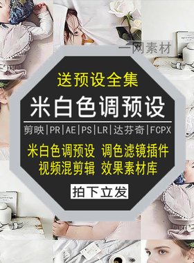 米白色调预设PS滤镜PR调色LR剪映FCPX达芬奇LUT插件视频剪辑素材