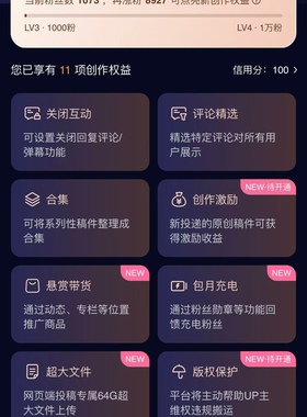 bili哔哩b站小破站up主权益直升lv3(含激励带货花火商单等12项)