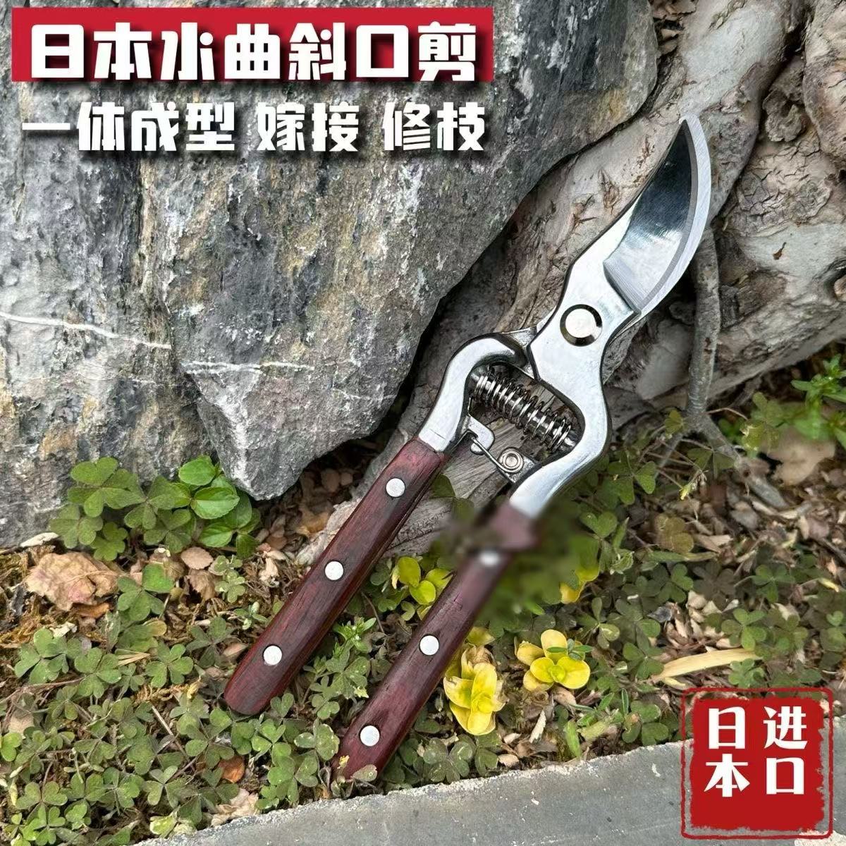 高碳钢水曲柳柄省力果树修枝剪图片