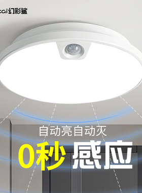 楼梯感应灯不插电入户门吸顶灯楼道玄关走廊自动雷达红外人体家门