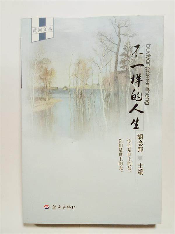【正版书】 不一样的人生 胡念邦 主编