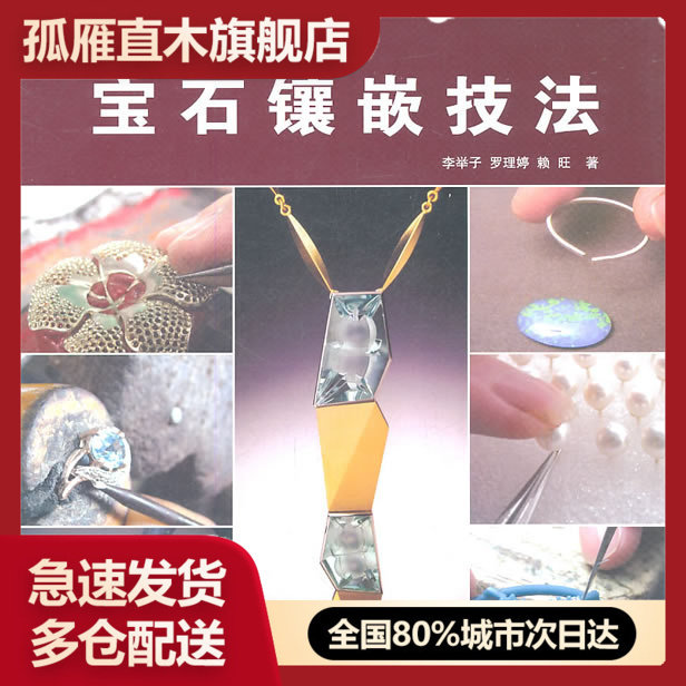 【正版】宝石镶嵌技法 李举子
