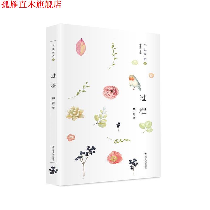 【正版书】 小说家的诗:过程 27年坚守，林白新诗首度结集，达致女性写作新境 林白 辽宁人民出版社