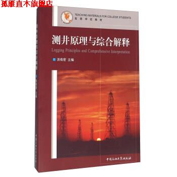 【正版书】 测井原理与综合解释 洪有密 编 中国石油大学出版社