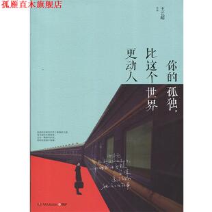 你 孤独 比这个世界更动人 湖南文艺出版 书 王云超 社 正版