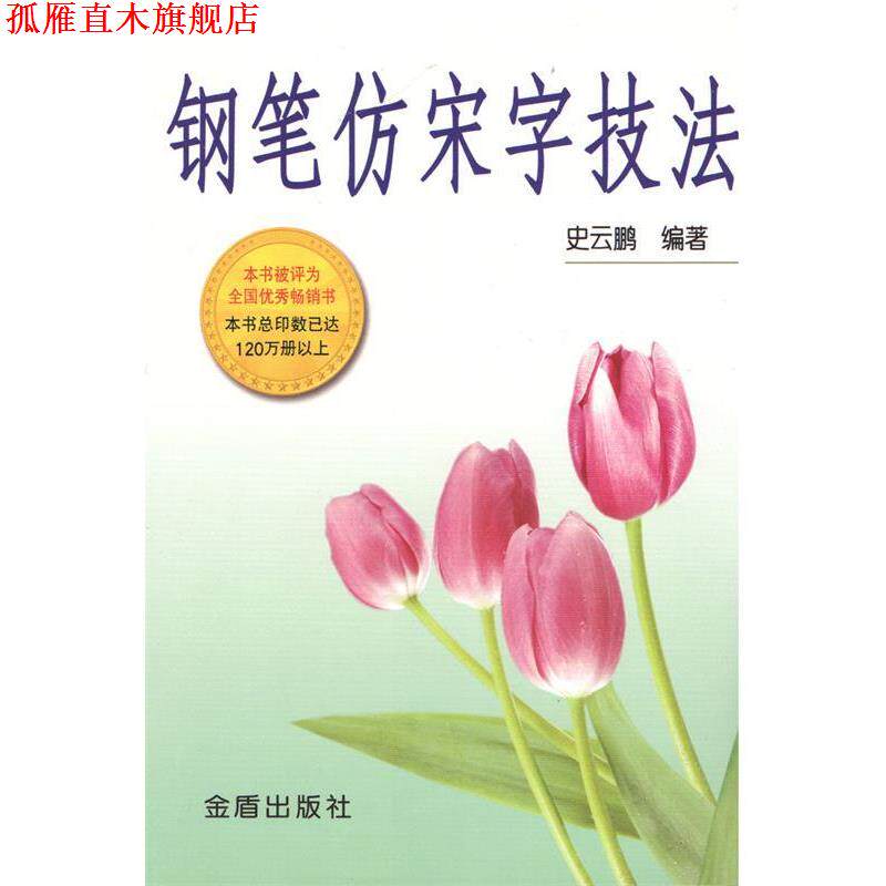 【正版书】 钢笔仿宋字技法 史云鹏 编著 总后金盾出版社
