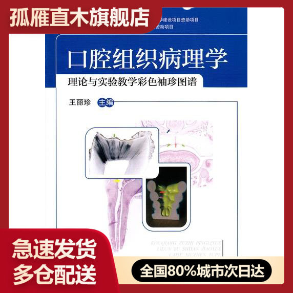 【正版】口腔组织病理学 理论与实验教学彩色袖珍图谱 王丽珍