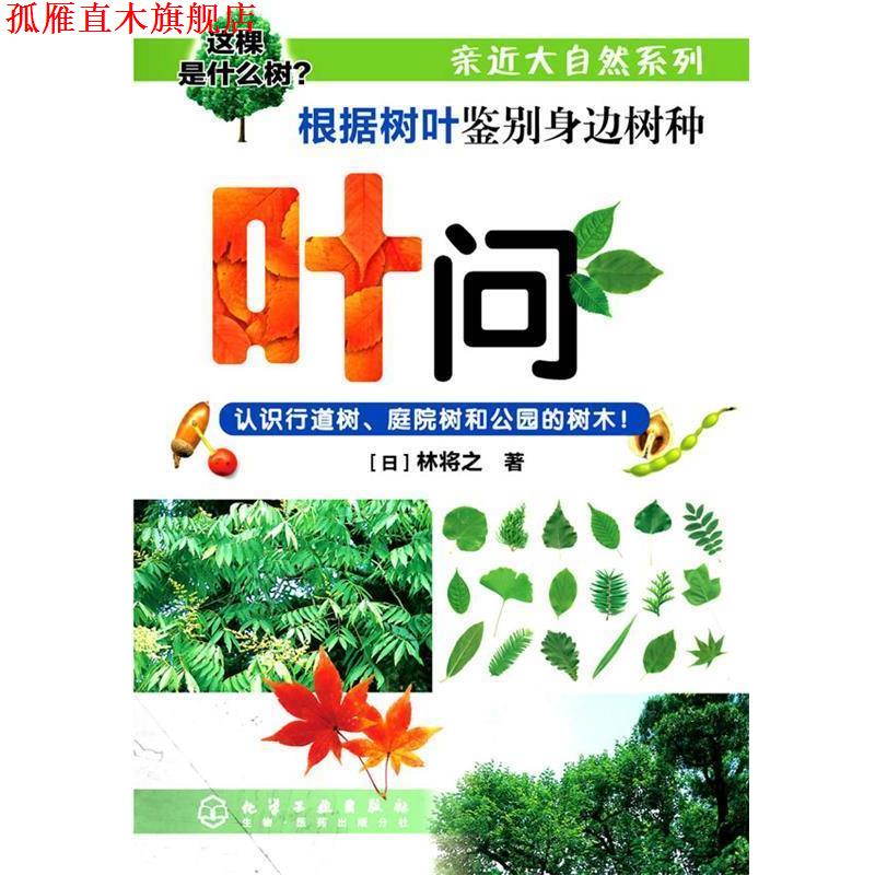 【正版书】 亲近大自然系列--叶问-根据树叶鉴别身边的树种 (日)林将之 著,张海鹰 译 化学工业出版社