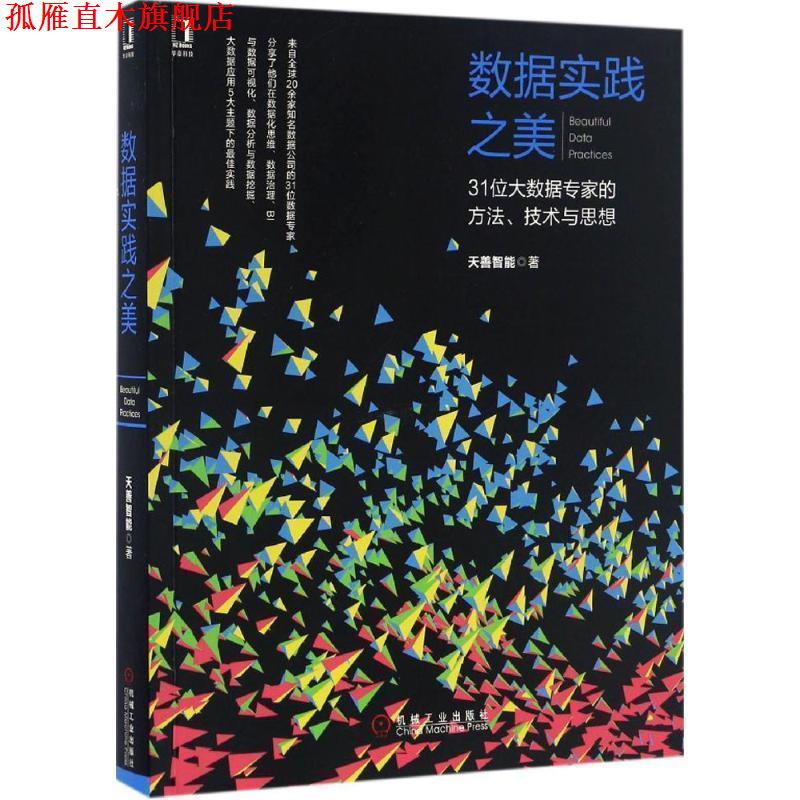 【正版书】 数据实践之美:31位大数据专家的方法、技术与思想 天善智能 机械工业出版社