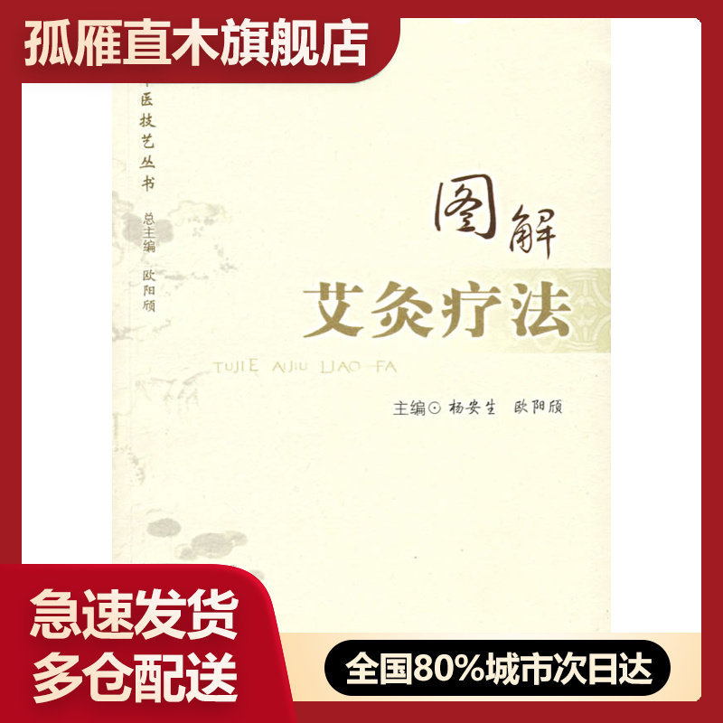 【正版】图解艾灸疗法 杨安生、欧阳颀