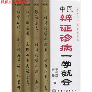 中医辨证诊病一学就会 书 王桂茂 宋毅 社 化学工业出版 正版