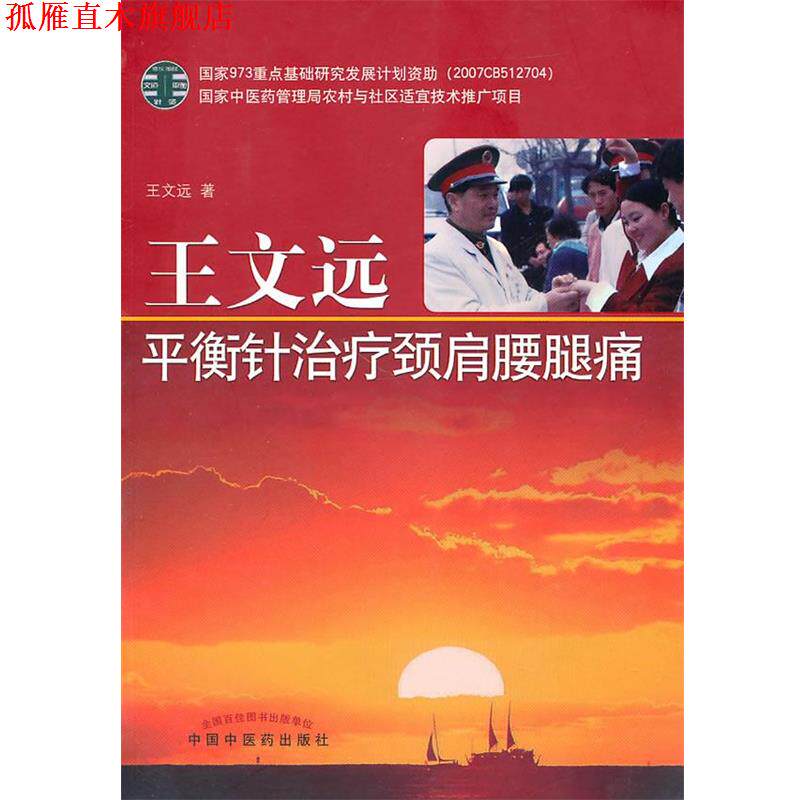 【正版书】 王文远平衡针颈肩腰腿痛 王文远 著 中国中医药出版社