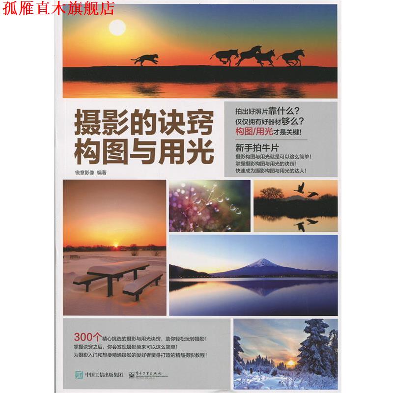 【正版书】 摄影的诀窍 构图与用光 锐意影像 编著 电子工业出版社