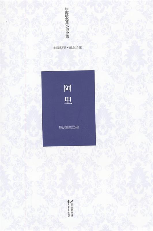 【正版书】 毕淑敏经典小说全集 玄圃积玉 藏北拾莲—阿里 毕淑敏