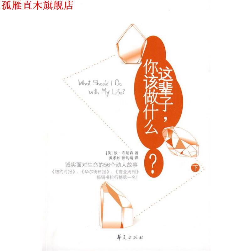 【正版书】 这辈子，你该做什么？ (美国)波·布朗森 华夏出版社