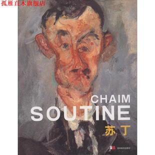 【正版书】 苏丁 王兴吉 吉林美术出版社