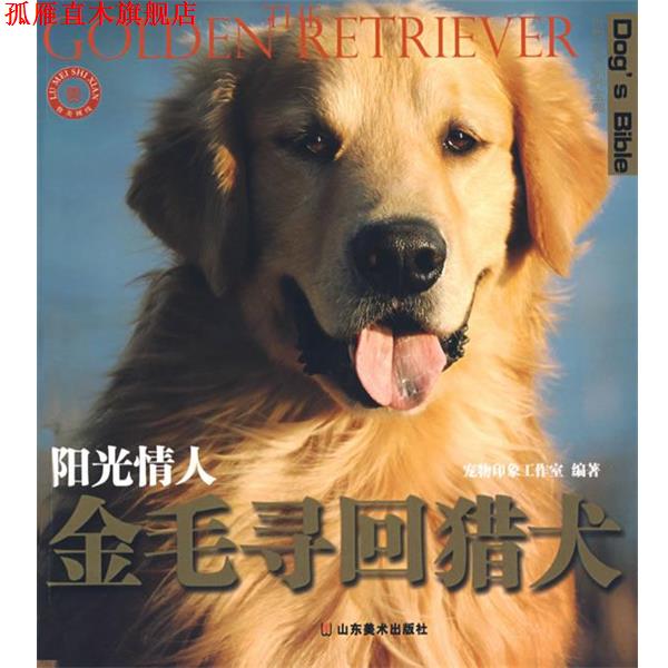 【正版书】 世界名犬驯养宝典-阳光情人 金毛寻回猎犬 宠物印象工作室 编著 山东美术出版社
