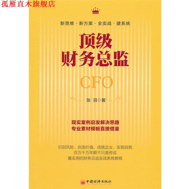 【正版书】 财务总监 张羽 中国经济出版社
