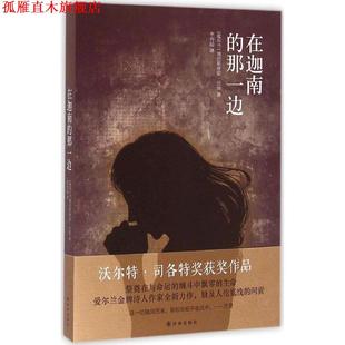 在迦南 社 译林出版 Barry 正版 书 著 爱尔兰 那一边 译 塞巴斯蒂安·巴里 李育超 Sebastian