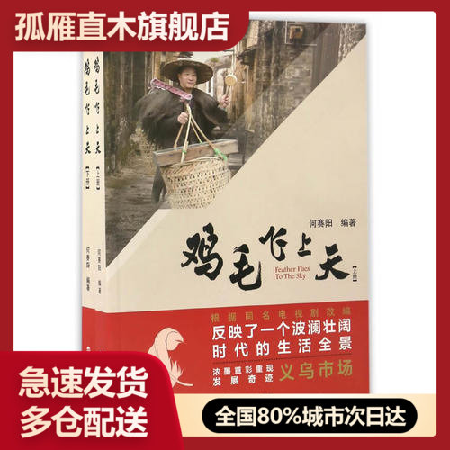 【正版】鸡毛飞上天(上下)何赛阳何赛阳