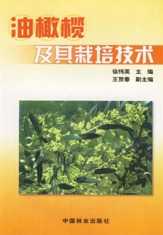 【正版书】 油橄榄及其栽培技术 徐纬英 中国林业出版社