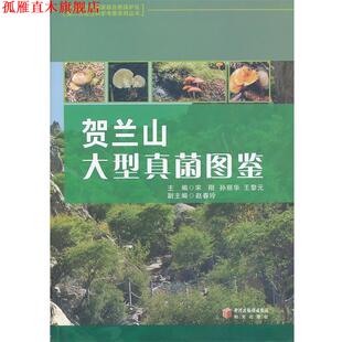 【正版书】 贺兰山真菌图鉴 宋刚 ,宋丽华 ,王黎元 编 阳光出版社