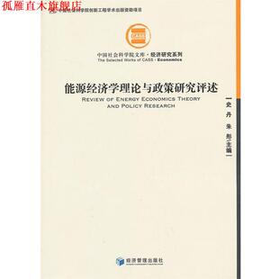 【正版书】 能源经济学理论与政策研究评述 史丹,朱彤 经济管理出版社