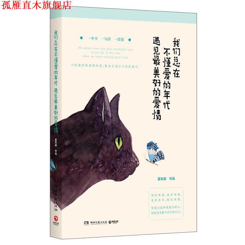 【正版书】 我们总在不懂爱的年代,遇见好的爱情 夏风颜 著 湖南文艺出版社