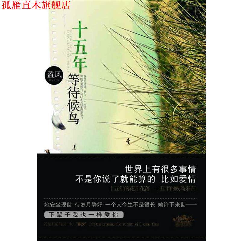 【正版书】 十五年等待候鸟 盈风 著 江苏文艺出版社