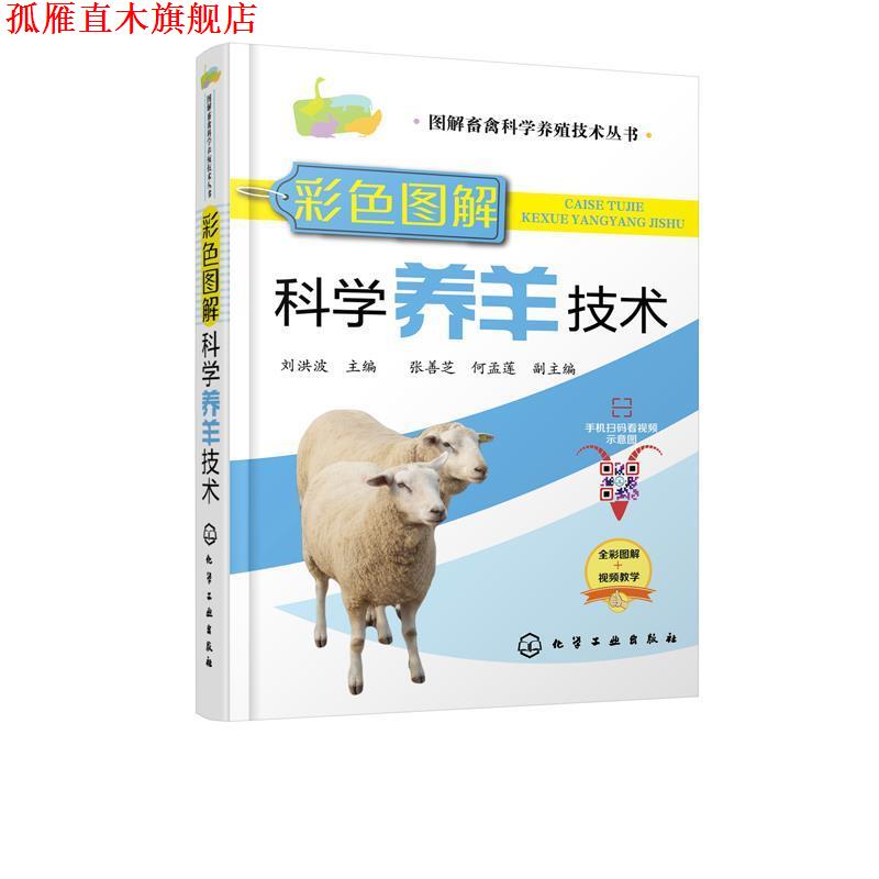 【正版书】 彩色图解科学养羊技术 刘洪波 著 化学工业出版社有限公司