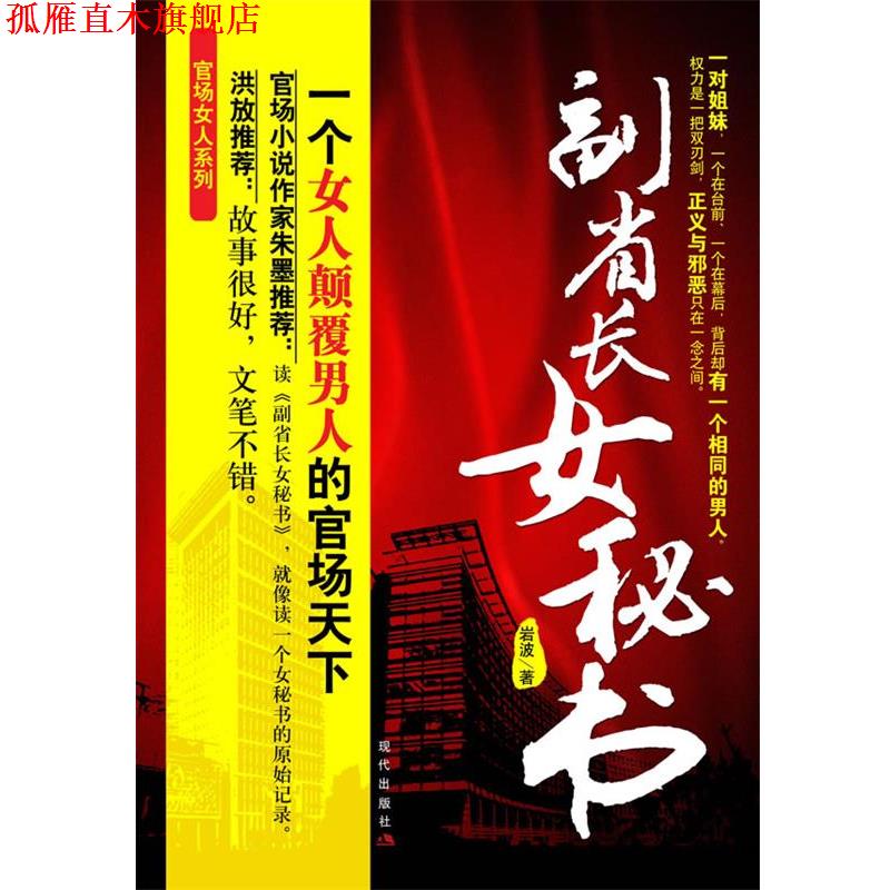 【正版书】 副省长女秘书--一个女人颠覆男人的官场天下 岩波　著 珠海出版社