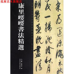 【正版书】 康里巎巎书法精选 陈培站 白立献 河南美术出版社