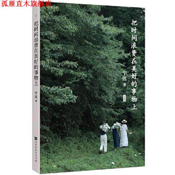 【正版书】 把时间浪费在美好的事物上 宁远 北京时代华文书局