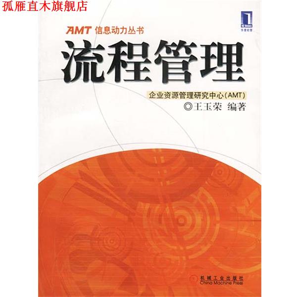 【正版书】 AMT信息动力丛书:流程管理 王玉荣 著 机械工业出版社