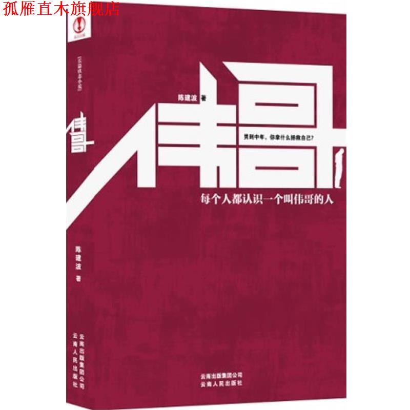 【正版书】 伟哥 陈建波 云南出版集团公司,云南人民出版社