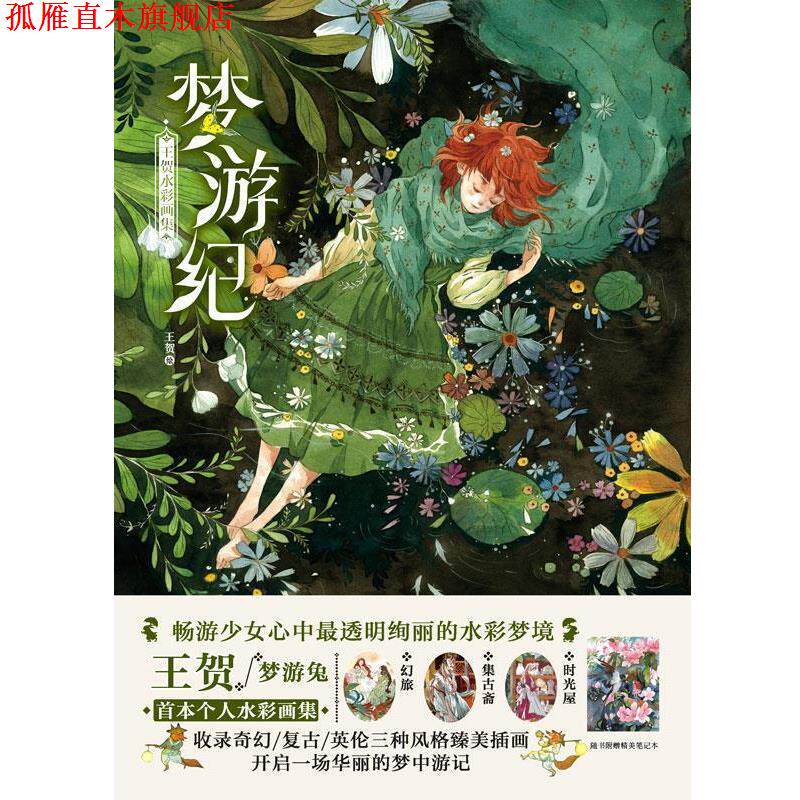 【正版书】 梦游纪:王贺水彩画集 王贺 湖南美术出版社