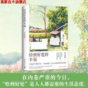 【正版书】 恰到好处的幸福 毕淑敏 湖南文艺出版社