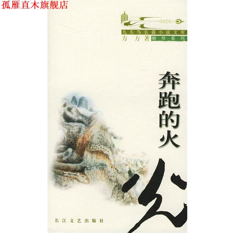 【正版书】 奔跑的火光 方方 著 长江文艺出版社
