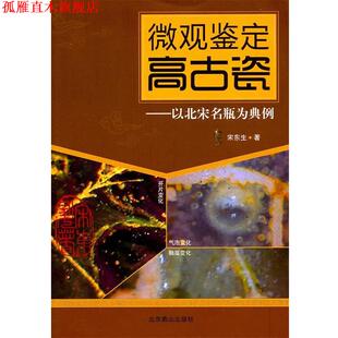 【正版书】 微观鉴定高古瓷:以北宋名瓶为典例 宋东生 著 北京燕山出版社