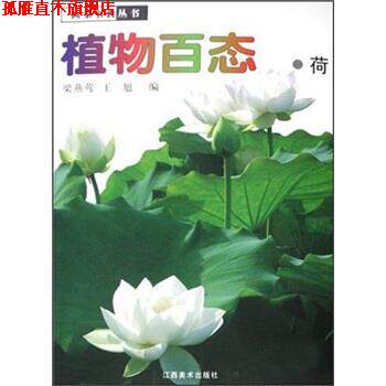 【正版书】 植物百态·荷 梁燕莺,王旭 编 江西美术出版社