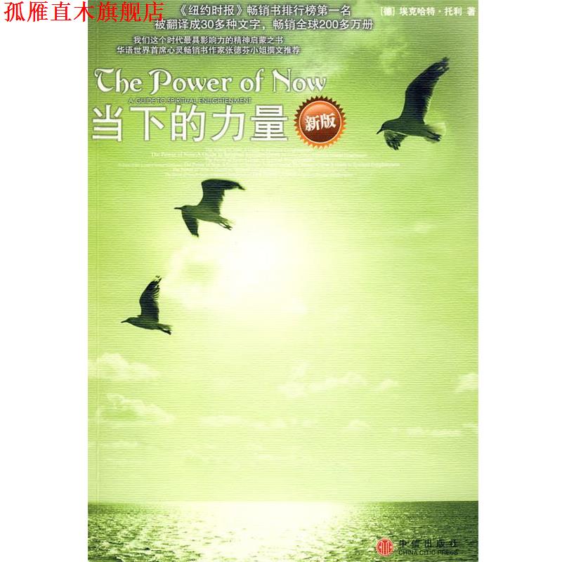 【正版书】 当下的力量 (德)托利　著,曹植　译 中信出版社