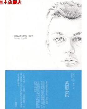 【正版书】 美丽男孩 [美] 谢夫（Sheff D.） 著,陈俊群 译 上海译文出版社