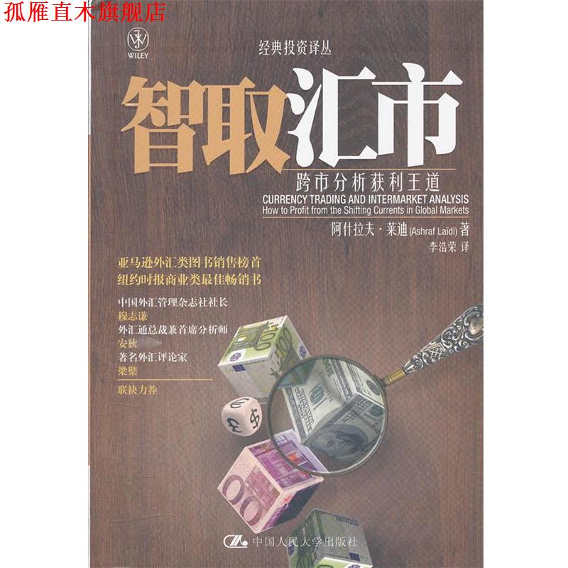 【正版书】 智取汇市 跨市分析获利王道 莱迪 著,李浩荣 译 中国人民大学出版社