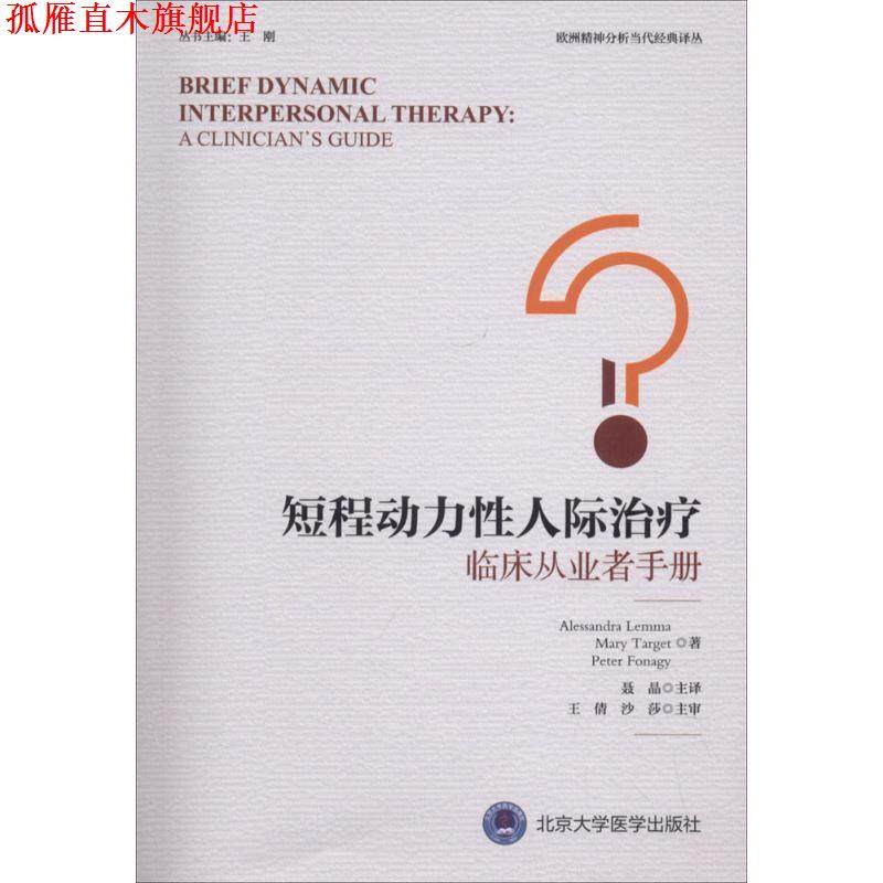 【正版书】 短程动力性人际 (英)亚历山德拉·莱马(Alessandra Lemma),(英)玛丽·塔吉特(Mary Target),(英)彼得·福纳吉(Peter Fo