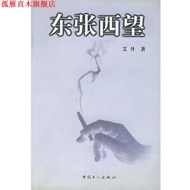 【正版书】 东张西望 艾丹 著 工人出版社