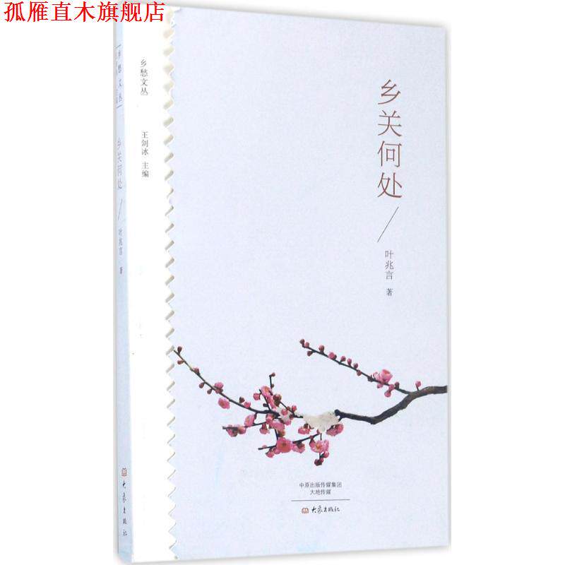 【正版书】 乡关何处 叶兆言 大象出版社