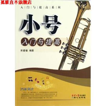【正版书】 小号入门与提高 宋建敏 同心出版社