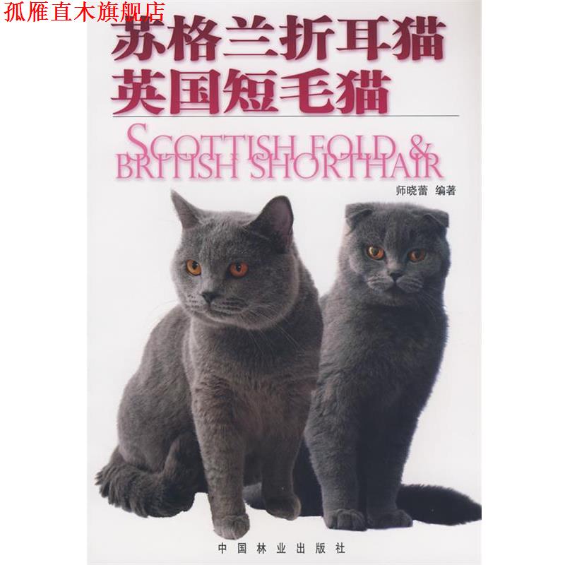 【正版书】 苏格兰折耳猫.英国短毛猫 师晓蕾 编著 中国林业出版社